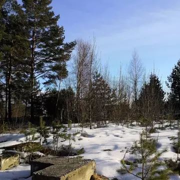 Участок в Калужская область, Дзержинский район, с. Дворцы ул. Лесная, ...