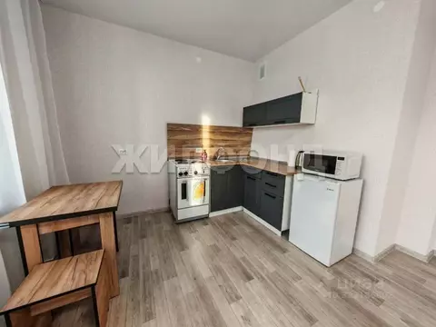 Студия Новосибирская область, Новосибирск ул. Бородина, 54 (31.0 м)