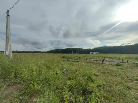 Участок в Московская область, Богородский городской округ, д. Исаково ...