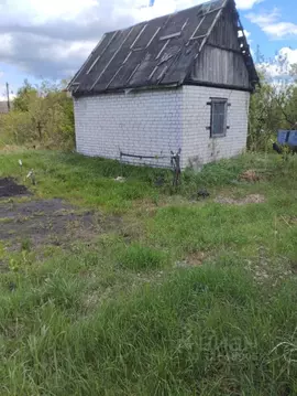 Дом в Брянская область, Брянск Железнодородник СНТ,  (20 м)