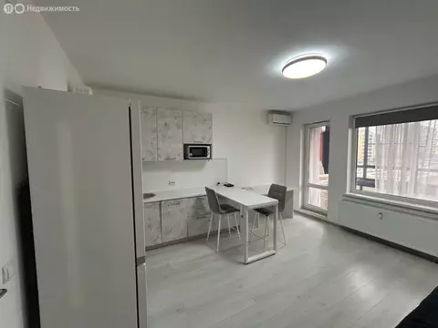 Квартира-студия: Санкт-Петербург, проспект Ветеранов, 183 (24.1 м)