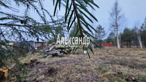 Участок в Ленинградская область, Приозерский район, Ларионовское ...
