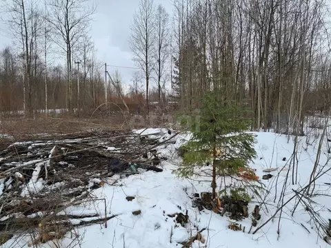 Участок в Вологодская область, Вологда ул. Власьевская (8.6 сот.)