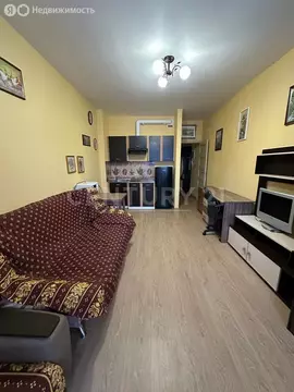 Квартира-студия: Санкт-Петербург, улица Адмирала Черокова, 22 (24 м)