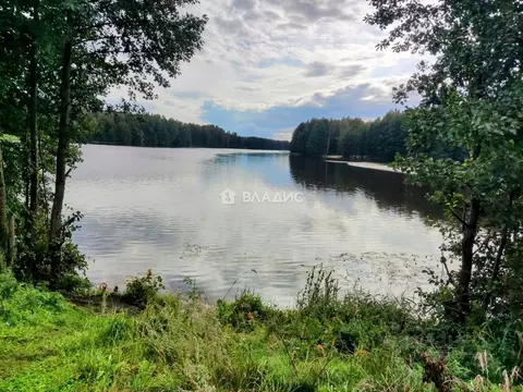 Участок в Владимирская область, Судогодский район, д. Коняево ...