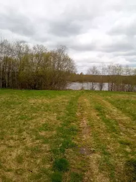 Участок в Новгородская область, Окуловский район, Турбинное с/пос, д. ...