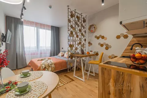 Студия Санкт-Петербург дор. На Турухтанные острова, 5к1 (25.0 м)