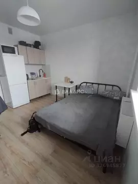 Студия Воронежская область, Воронеж ул. 9 Января, 233/40 (22.5 м)