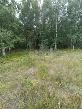 Участок в Забайкальский край, Читинский район, Энергетик-2 СНТ  (6.0 ...