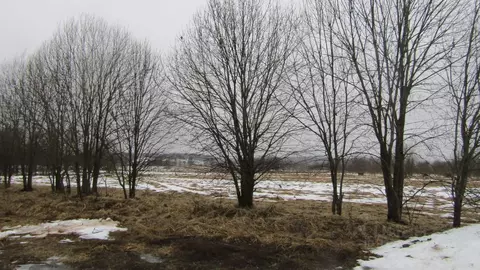 Участок в Калужская область, Мещовск городское поселение, д. ...