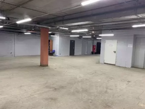 Помещение свободного назначения в Москва просп. Мира, 64 (240 м)