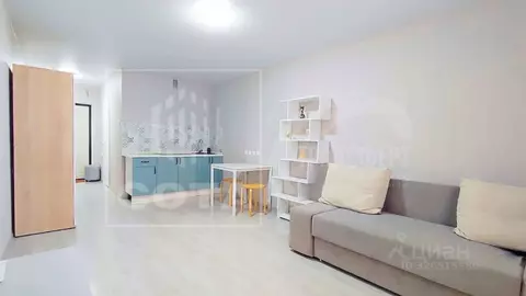 Студия Воронежская область, Воронеж Острогожская ул., 168С (27.3 м)