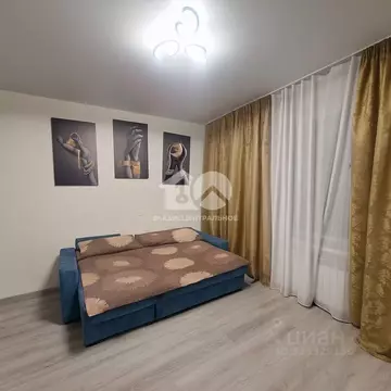 Студия Новосибирская область, Новосибирский район, пос. Мичуринский ...