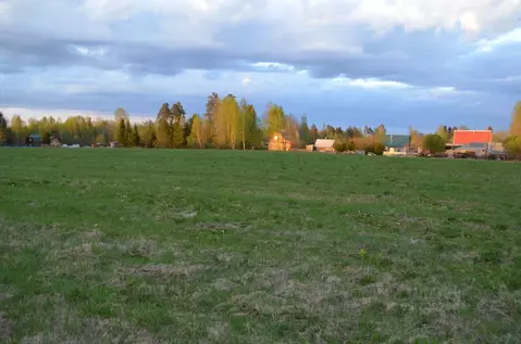 Участок в Новгородская область, Новгородский район, Савинское с/пос, ...