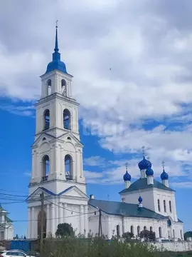 Участок в Ярославская область, Некрасовский муниципальный округ, с. ...