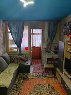 Студия Краснодарский край, Сочи Донская мкр, пер. Строительный, 11 ...