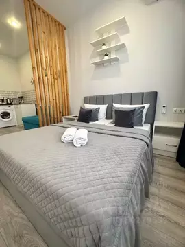 Студия Ставропольский край, Ессентуки ул. Нелюбина, 25/1 (32.0 м)