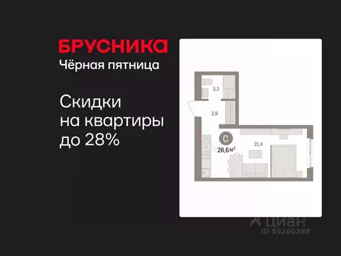 Студия Свердловская область, Екатеринбург пер. Торфяной, 4 (28.6 м)