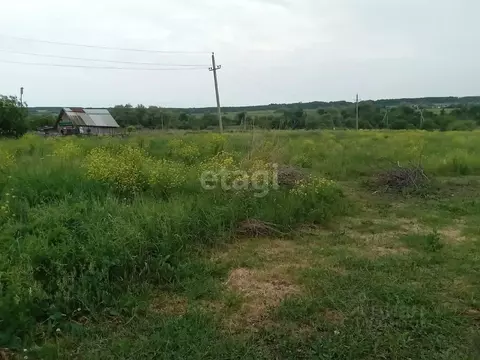 Участок в Башкортостан, Иглинский район, Ивано-Казанский сельсовет, д. ...