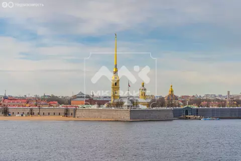 3-комнатная квартира: Санкт-Петербург, Дворцовая набережная, 22 (212.9 ...