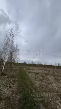 Участок в Брянская область, Брянский район, Добрунское с/пос, с. ...