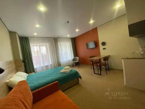 Комната Татарстан, Казань ул. Каюма Насыри, 28 (22.0 м)