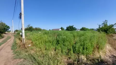 Участок в Краснодарский край, Темрюк Северные Сады СОТ, ул. Мускатная ...