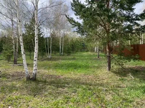 Участок в Свердловская область, Белоярский муниципальный округ, Мешков ...