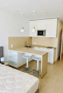 Студия Москва ул. 1-я Леонова, 18 (28.0 м)