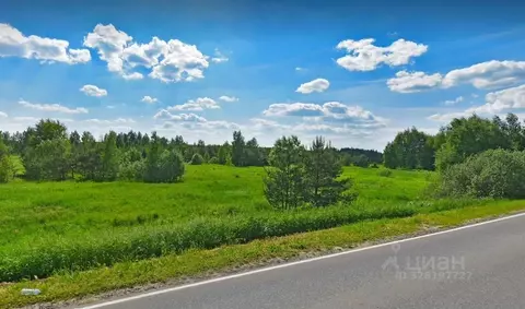 Участок в Московская область, Богородский городской округ, д. Тимково ...