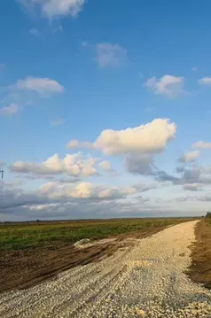 Участок в Ленинградская область, Кингисеппский район, Большелуцкое ...