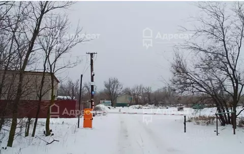 Дом в Волгоградская область, Волгоград Мичуринец СНТ, 11 (25 м)