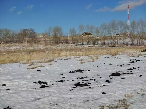 Участок в Курганская область, Шадринский муниципальный округ, с. Ключи ...