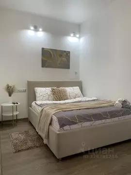 Студия Москва Шелепихинская наб., 34к2 (45.0 м)