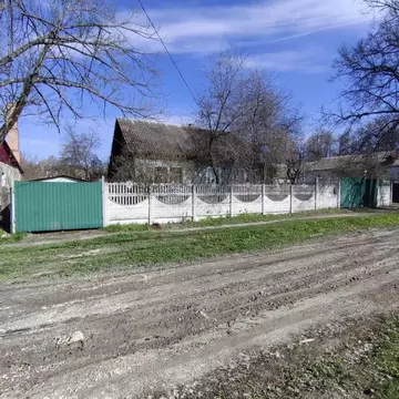 Дом в Брянская область, Навля рп пер. 1-й Леонардо Гарсиа, 5 (57 м)