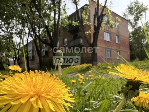 3-к кв. Московская область, Домодедово городской округ, с. Вельяминово ...
