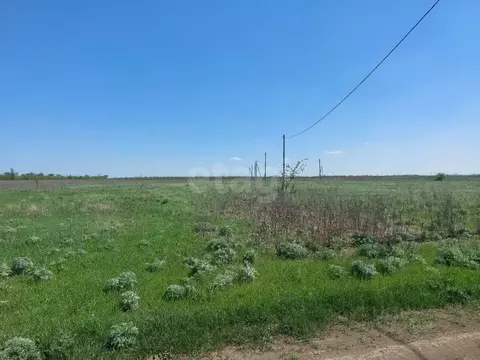 Участок в Ростовская область, Новочеркасск ул. Овечкина, 14 (6.0 сот.)