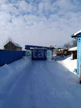 Дом в Амурская область, Благовещенский район, с. Новотроицкое  (65 м)