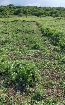 Участок в Краснодарский край, Анапа муниципальный округ, Куток хут. ...