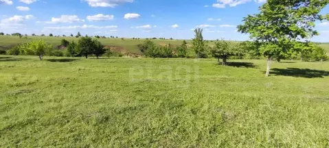 Участок в Воронежская область, Рамонский район, с. Русская Гвоздевка  ...