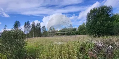 Участок в Новгородская область, Новгородский район, Савинское с/пос, ...