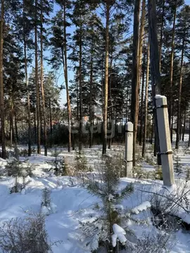 Участок в Бурятия, Улан-Удэ пос. Светлый, ул. Живописная (7.4 сот.)