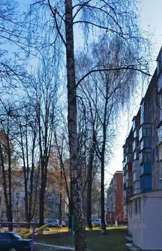 3-к кв. Белгородская область, Белгород ул. Железнякова, 15 (60.0 м)