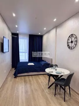 Студия Башкортостан, Уфа ул. Менделеева, 137к3 (26.0 м)