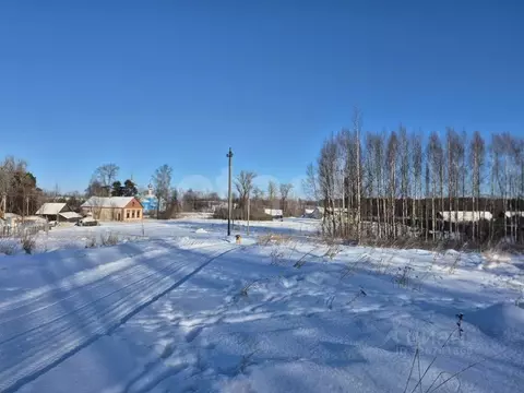 Участок в Псковская область, Печорский муниципальный округ, д. Лисье  ...