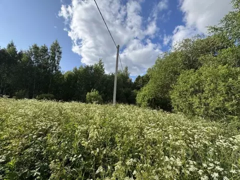Участок в Костромская область, Костромской район, Середняковское ...
