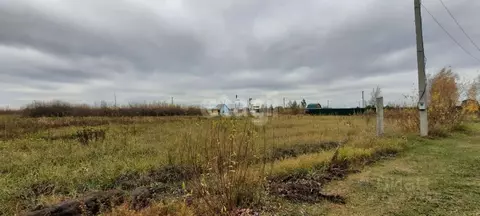 Участок в Амурская область, Тамбовский муниципальный округ, с. Лозовое ...