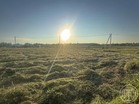 Участок в Ленинградская область, Лужский район, Заклинское с/пос, д. ...