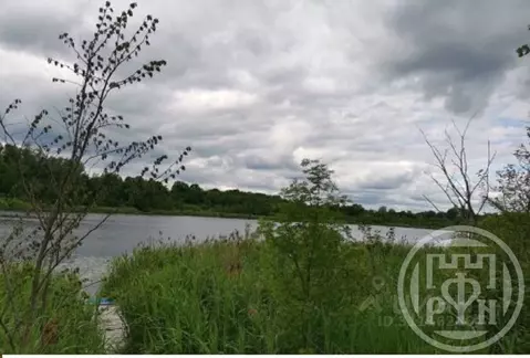 Участок в Ленинградская область, Лужский район, Володарское с/пос, д. ...