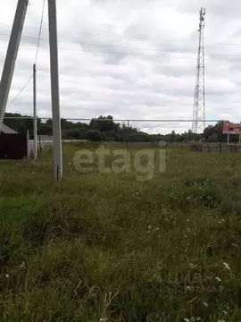 Участок в Новосибирская область, Колыванский район, с. Скала ул. ...